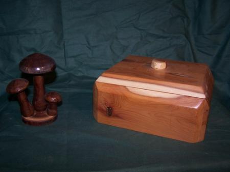 COFFRET et CHAMPIGNON